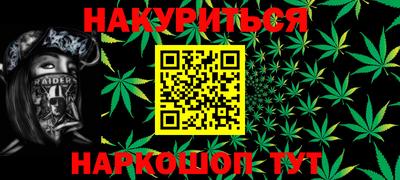 шишки Новодвинск