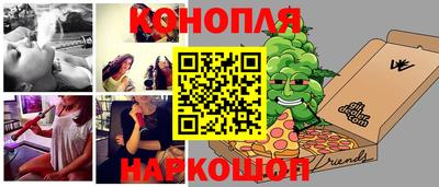 шишки Новодвинск