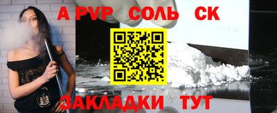 шишки Новодвинск